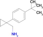 [1-(4-tert-butylphenyl)cyclopropyl]methanamine