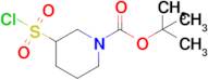 Tert-butyl 3-(chlorosulfonyl)piperidine-1-carboxylate