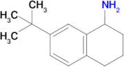 7-Tert-butyl-1,2,3,4-tetrahydronaphthalen-1-amine