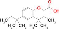 2-[2,4-bis(2-methylbutan-2-yl)phenoxy]acetic acid