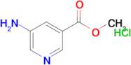 Methyl 5-aminopyridine-3-carboxylate hydrochloride