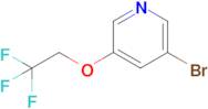 3-Bromo-5-(2,2,2-trifluoroethoxy)pyridine