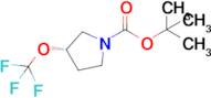 Tert-butyl(3S)-3-(trifluoromethoxy)pyrrolidine-1-carboxylate