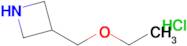 3-(Ethoxymethyl)azetidine;hydrochloride