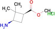 Methyl(1s,3r)-3-amino-2,2-dimethyl-cyclobutanecarboxylate;hydrochloride