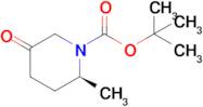 Tert-butyl(2s)-2-methyl-5-oxo-piperidine-1-carboxylate