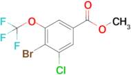 Methyl4-bromo-3-chloro-5-(trifluoromethoxy)benzoate