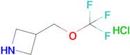 3-(Trifluoromethoxymethyl)azetidinehydrochloride