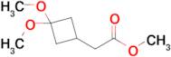 Methyl2-(3,3-dimethoxycyclobutyl)acetate