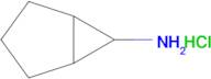 Bicyclo[3.1.0]hexan-6-amine;hydrochloride