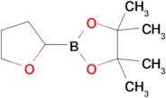 4,4,5,5-Tetramethyl-2-tetrahydrofuran-2-yl-1,3,2-dioxaborolane