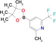 2-Methyl-4-(4,4,5,5-tetramethyl-1,3,2-dioxaborolan-2-yl)-6-(trifluoromethyl)pyridine