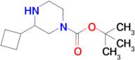 Tert-butyl3-cyclobutylpiperazine-1-carboxylate