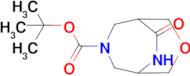 Tert-butyl10-oxo-3-oxa-7,9-diazabicyclo[3.3.2]decane-7-carboxylate