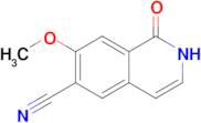 7-Methoxy-1-oxo-2h-isoquinoline-6-carbonitrile