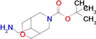 Tert-butyl9-(aminomethyl)-3-oxa-7-azabicyclo[3.3.1]nonane-7-carboxylate