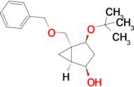 (1S,2R,4S,5R)-5-((Benzyloxy)methyl)-4-(tert-butoxy)bicyclo[3.1.0]hexan-2-ol