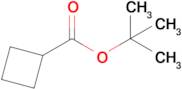 tert-Butyl cyclobutanecarboxylate