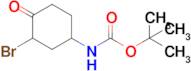 tert-Butyl (3-bromo-4-oxocyclohexyl)carbamate