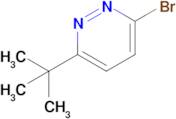 3-Bromo-6-(tert-butyl)pyridazine