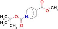 2-tert-Butyl 5-methyl 2-azabicyclo[2.2.1]heptane-2,5-dicarboxylate