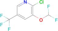 2-Chloro-3-(difluoromethoxy)-5-(trifluoromethyl)pyridine