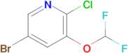 5-Bromo-2-chloro-3-(difluoromethoxy)pyridine