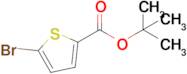 tert-Butyl 5-bromothiophene-2-carboxylate