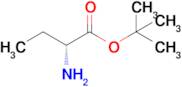 (R)-tert-Butyl 2-aminobutanoate
