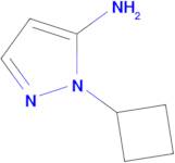 1-Cyclobutyl-1H-pyrazol-5-amine
