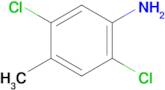 2,5-Dichloro-4-methylaniline