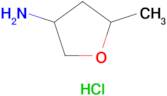 5-Methyltetrahydrofuran-3-amine hydrochloride