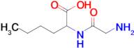 2-(2-Aminoacetamido)hexanoic acid