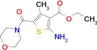 Ethyl 2-amino-4-methyl-5-(morpholine-4-carbonyl)thiophene-3-carboxylate