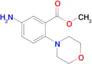 Methyl 5-amino-2-morpholinobenzoate