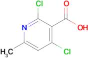 2,4-Dichloro-6-methylnicotinic acid