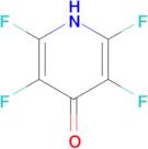 2,3,5,6-tetrafluoro-1,4-dihydropyridin-4-one