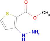 Methyl 3-hydrazinylthiophene-2-carboxylate