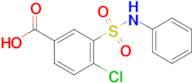 4-Chloro-3-(N-phenylsulfamoyl)benzoic acid