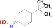 4-(Tert-butyl)cyclohexan-1-one oxime