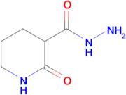 2-Oxopiperidine-3-carbohydrazide