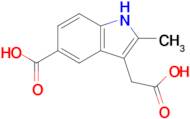 3-(Carboxymethyl)-2-methyl-1H-indole-5-carboxylic acid