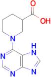 1-(7H-purin-6-yl)piperidine-3-carboxylic acid