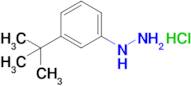 (3-(Tert-butyl)phenyl)hydrazine hydrochloride