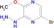 5-Bromo-3-hydrazinyl-2-methoxypyrazine