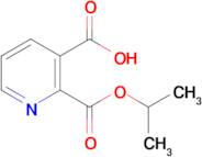 2-(Isopropoxycarbonyl)nicotinic acid