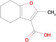 2-Methyl-4,5,6,7-tetrahydrobenzofuran-3-carboxylic acid