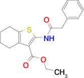 Ethyl 2-(2-phenylacetamido)-4,5,6,7-tetrahydrobenzo[b]thiophene-3-carboxylate