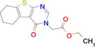 Ethyl 2-(4-oxo-5,6,7,8-tetrahydrobenzo[4,5]thieno[2,3-d]pyrimidin-3(4H)-yl)acetate