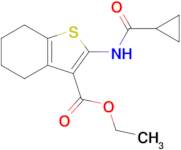 Ethyl 2-(cyclopropanecarboxamido)-4,5,6,7-tetrahydrobenzo[b]thiophene-3-carboxylate